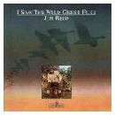 Jim Reid - I Saw the Wild Geese Flee