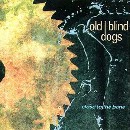Old Blind Dogs - Close to the Bone
