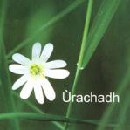 Urachadh - Urachadh