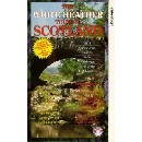 Various Artists - White Heather Tour Of Scotland